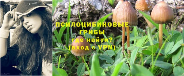 МДПВ Наволоки