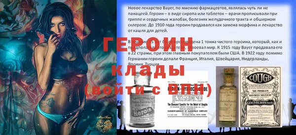 PSILOCYBIN Вяземский