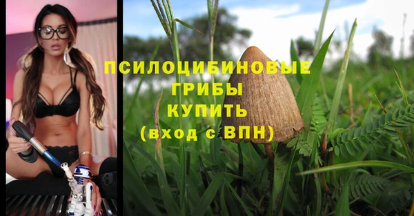 МДПВ Наволоки