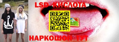 гидропоника Конаково